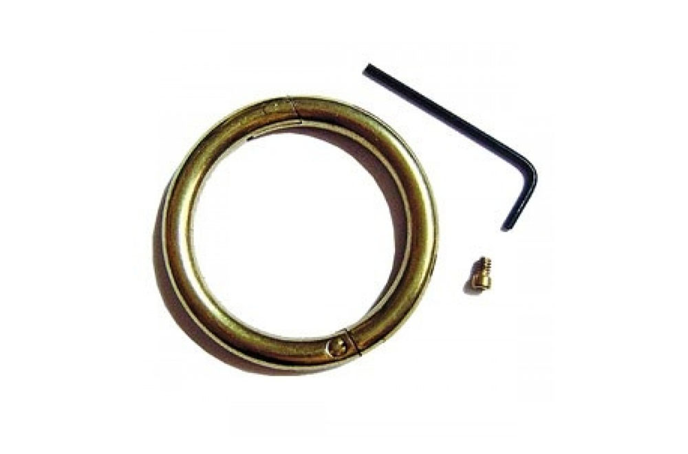 Bull Ring - Brass - Small 2 1/2