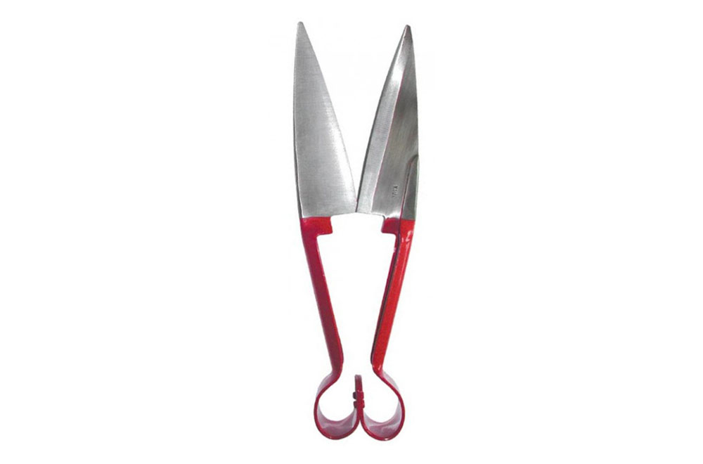 Sheep Shears